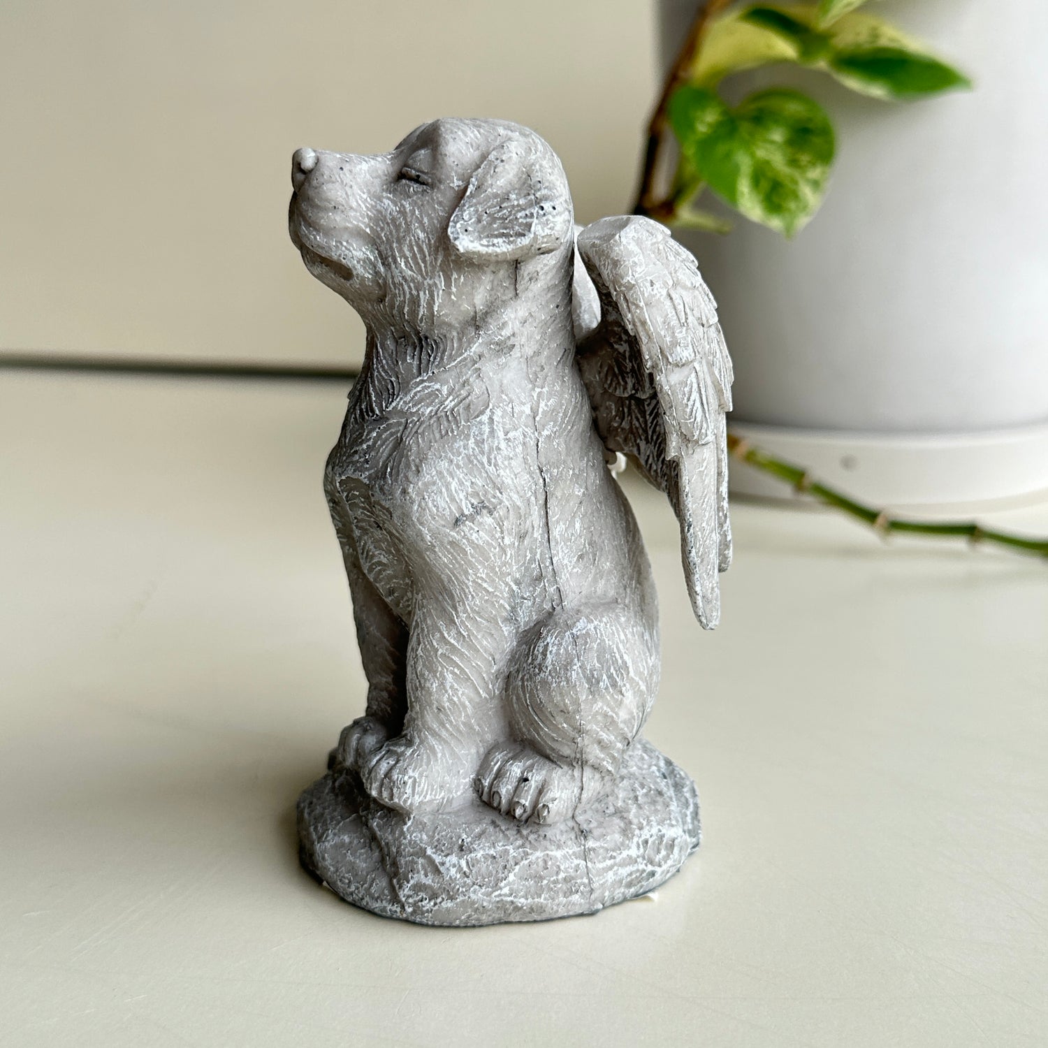 Angel Dog Statue PSA009