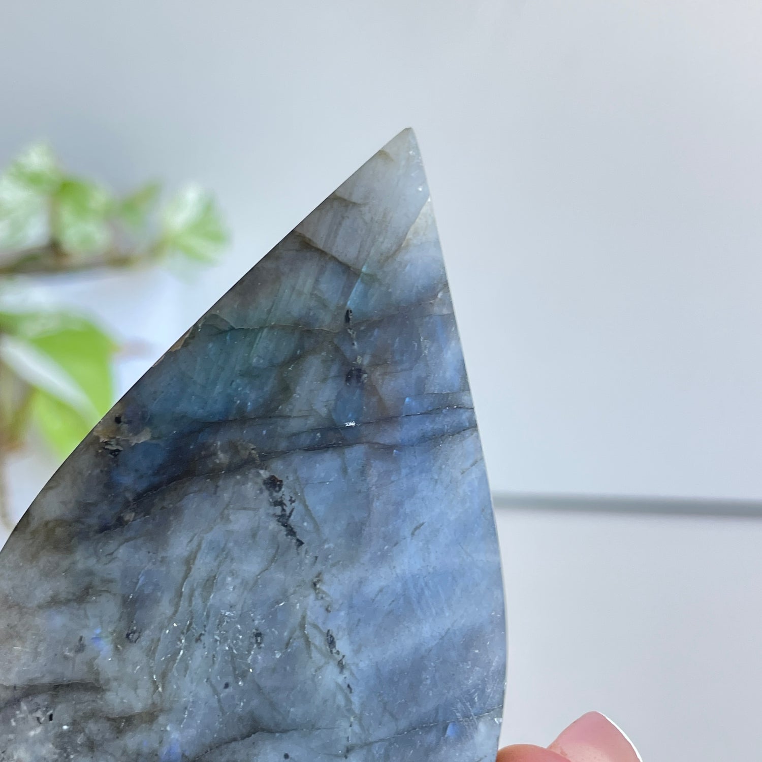 Labradorite Flame 9.5cm