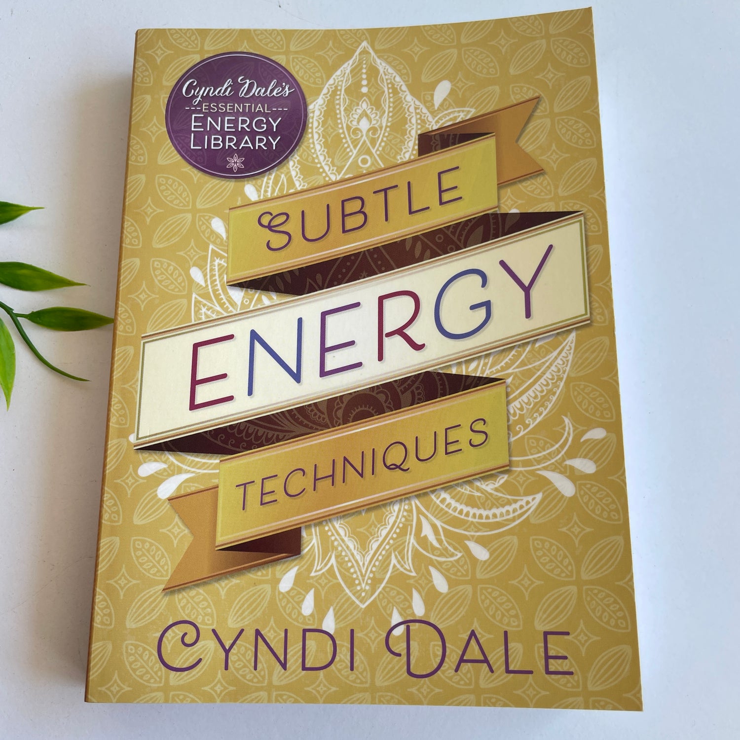 Subtle Energy Techniques Cyndi Dale