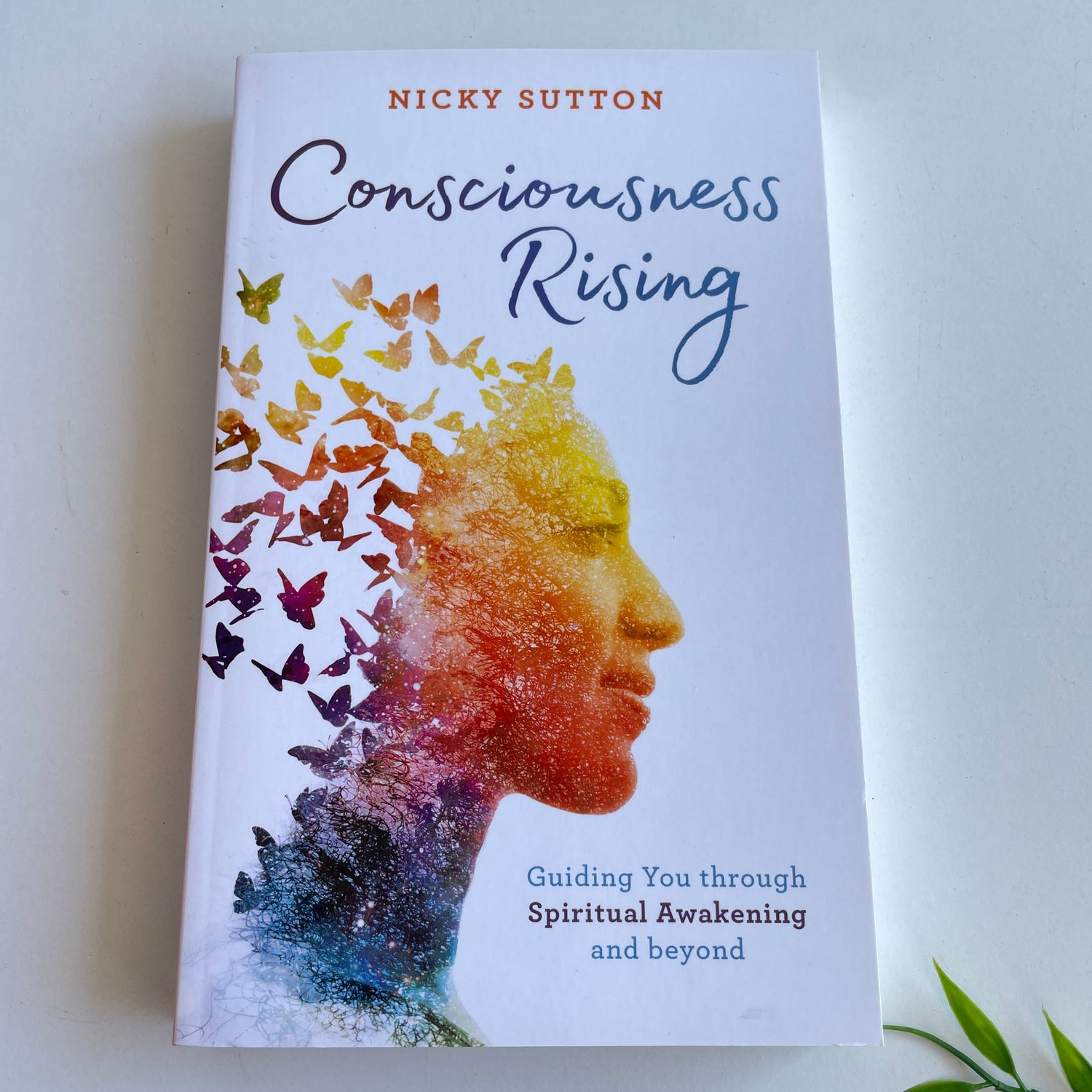 Consciousness Rising Nicky Sutton