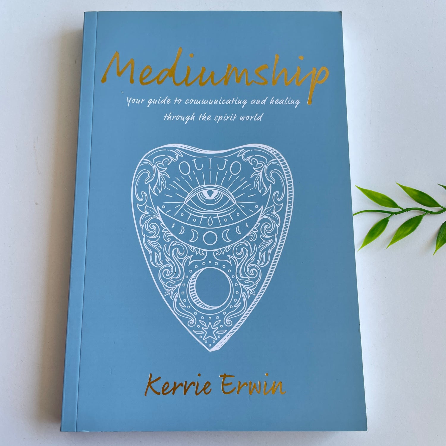 Mediumship Kerrie Erwin