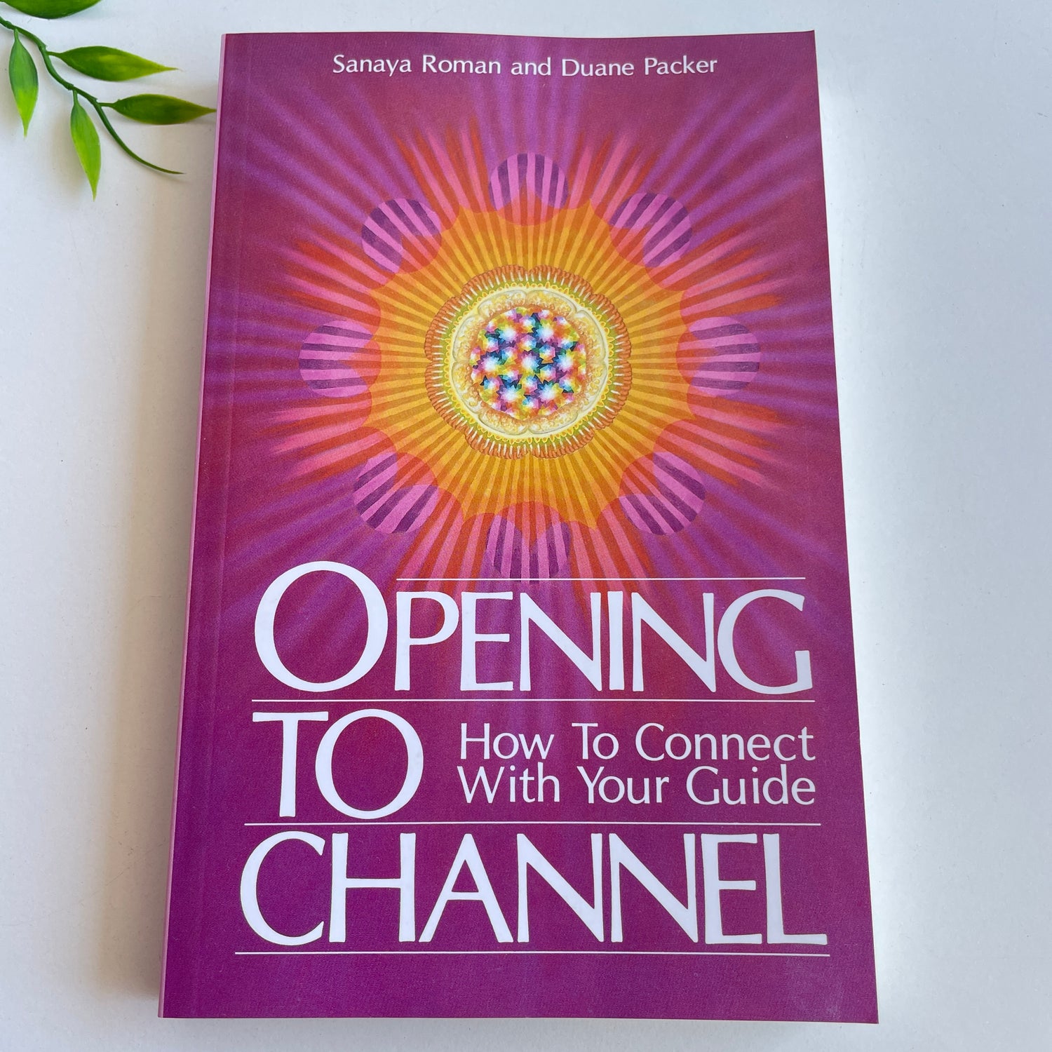 Opening to Channel Sanaya Roman