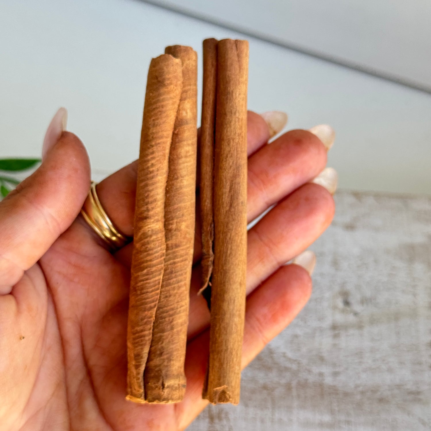 Cinnamon  Sticks