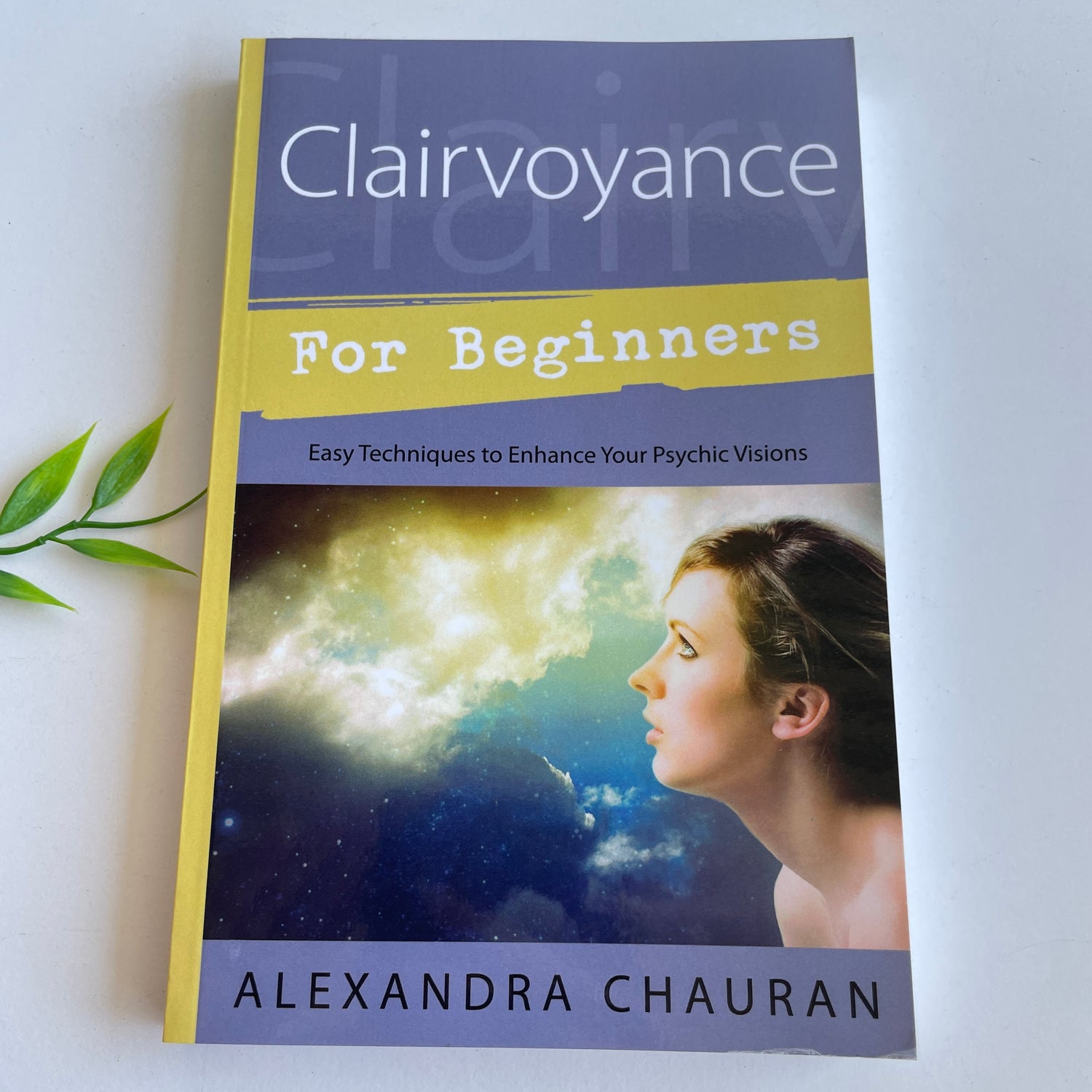 Clairvoyance For Beginners Alexandra Chauran