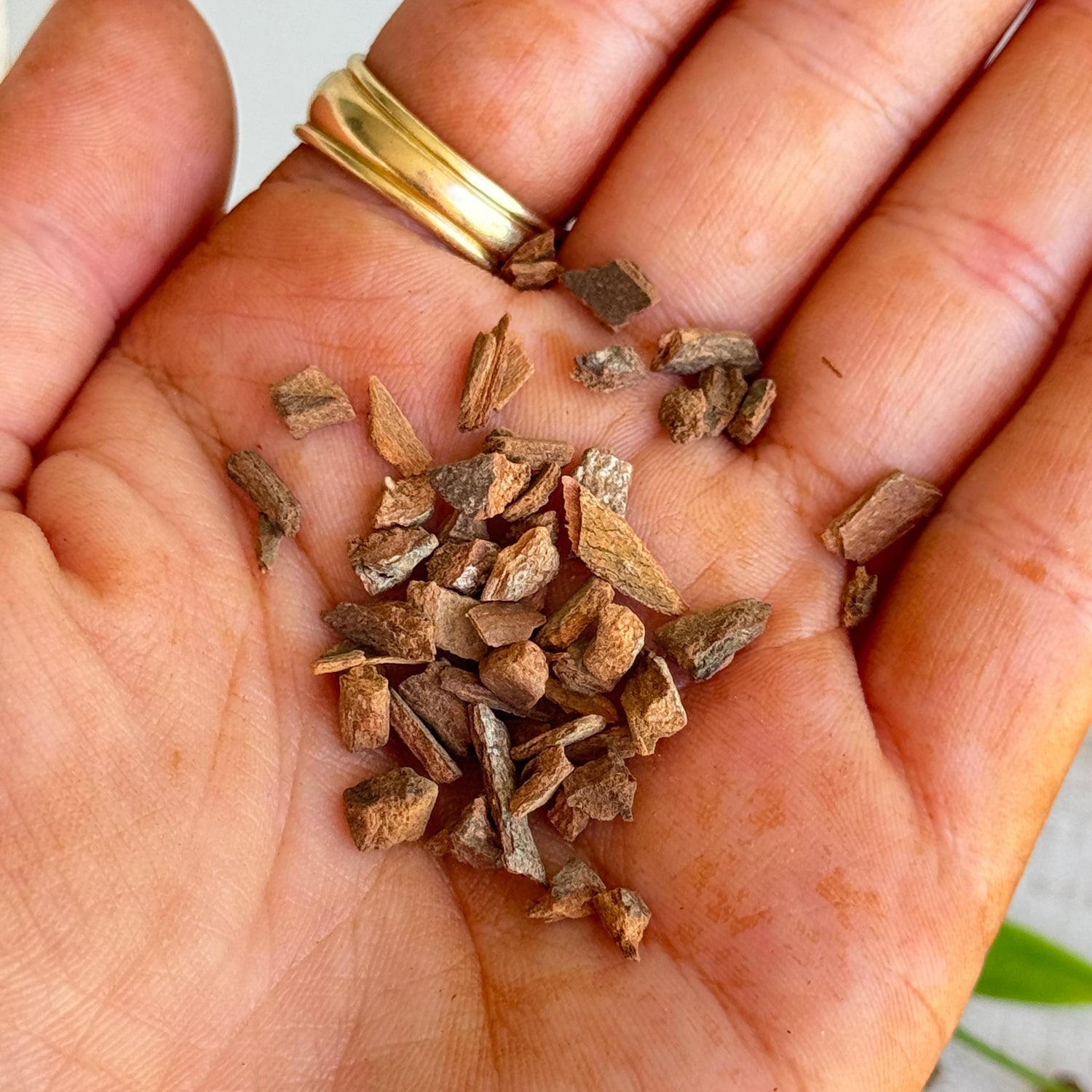 Cinnamon 10g