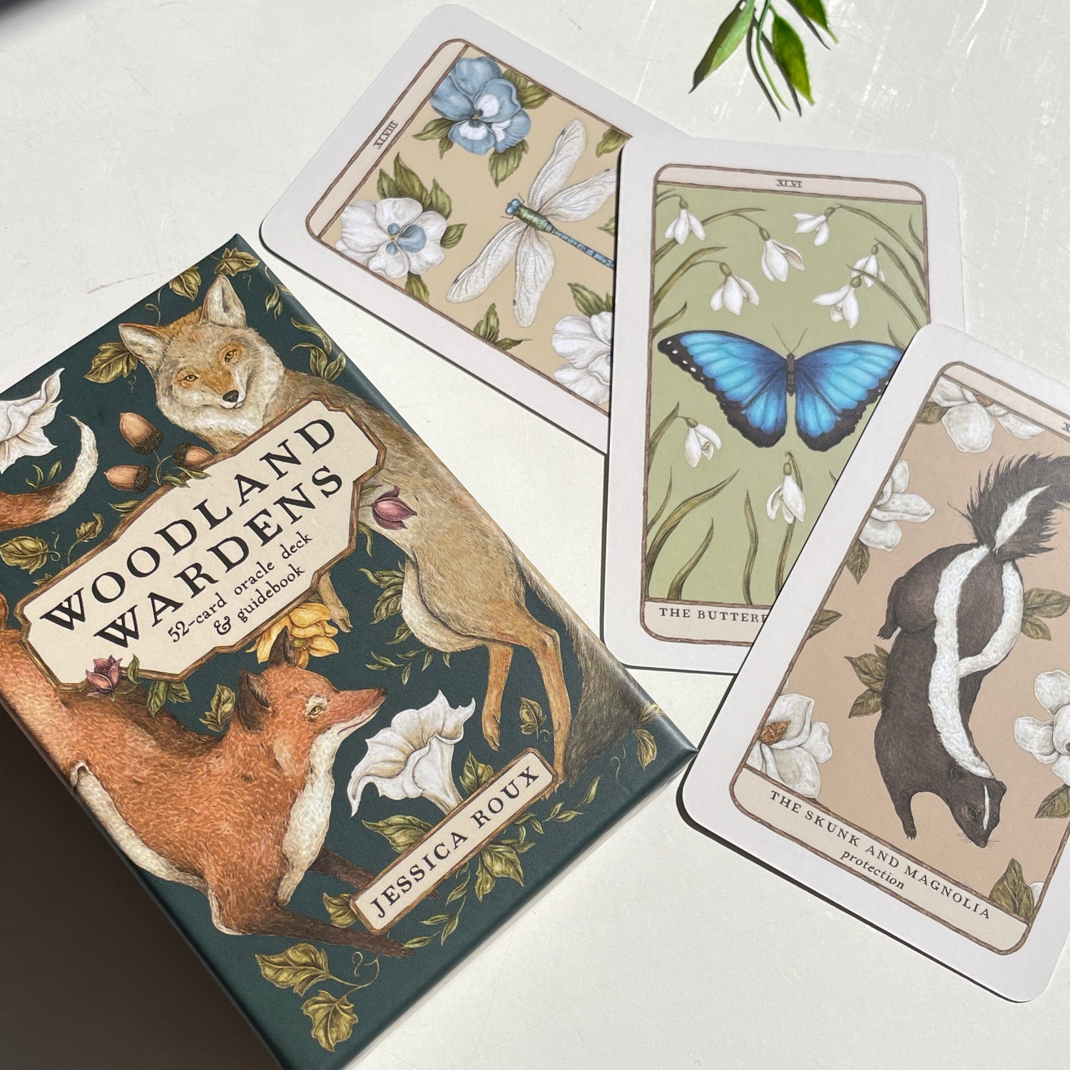 Woodland Wardens Jessica Roux