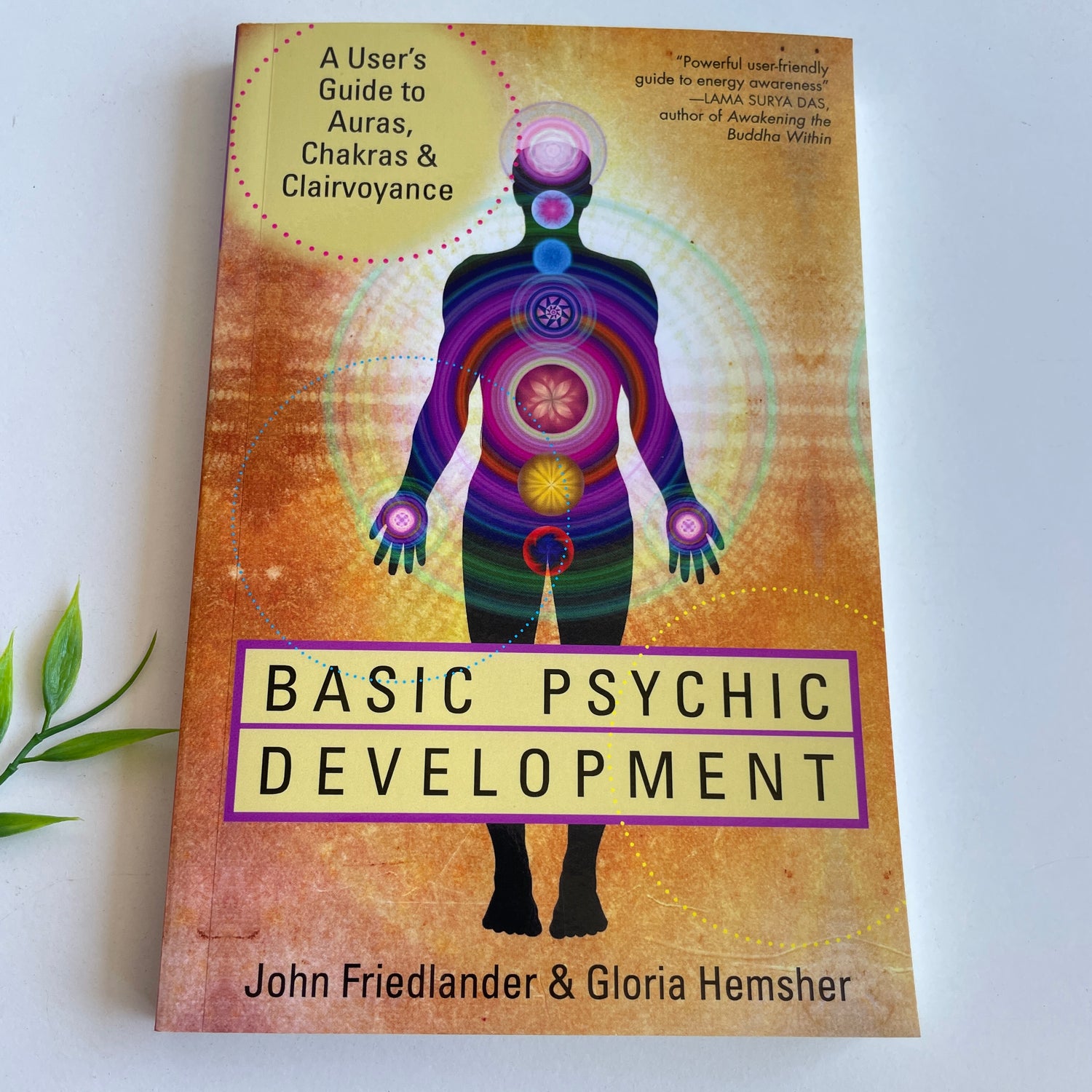 J. Friedlander Basic Psychic Development