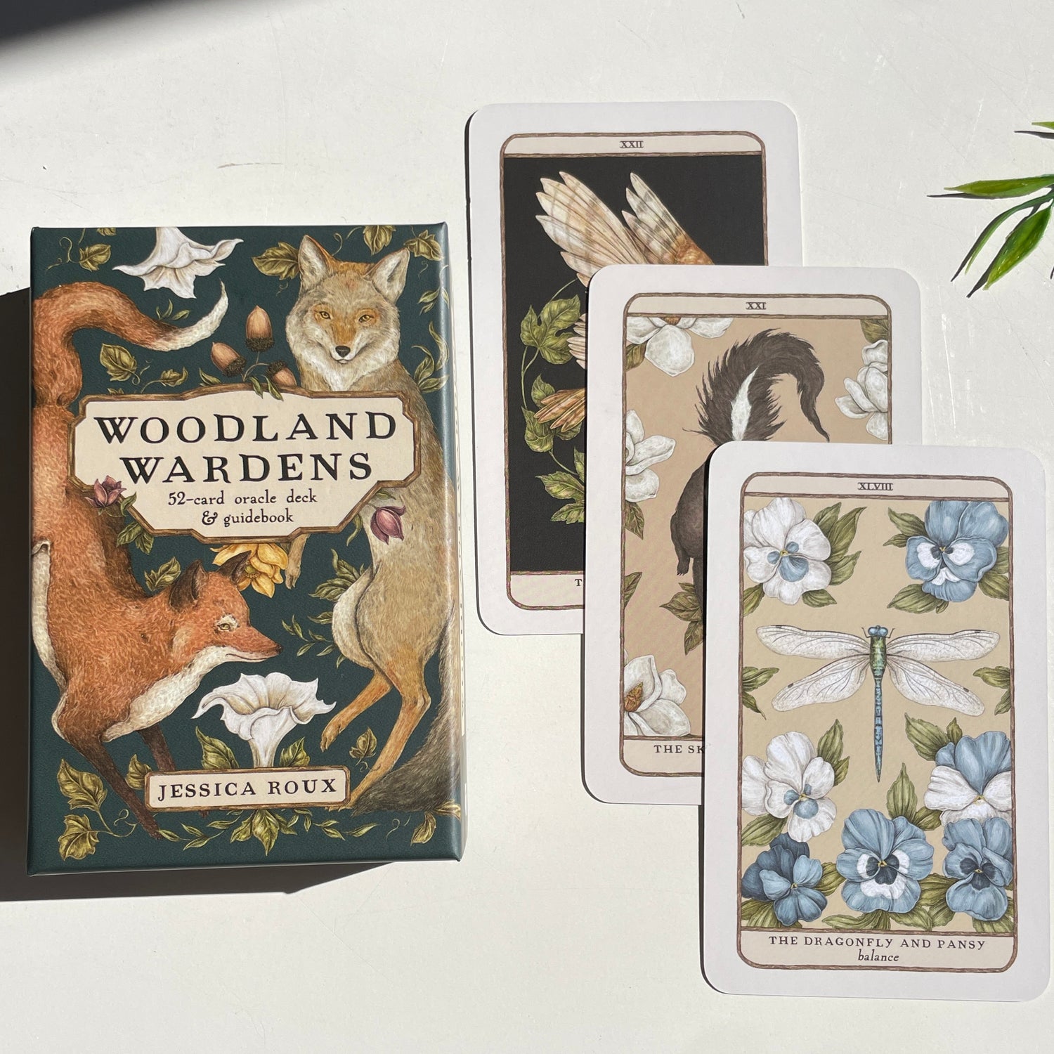 Woodland Wardens Jessica Roux
