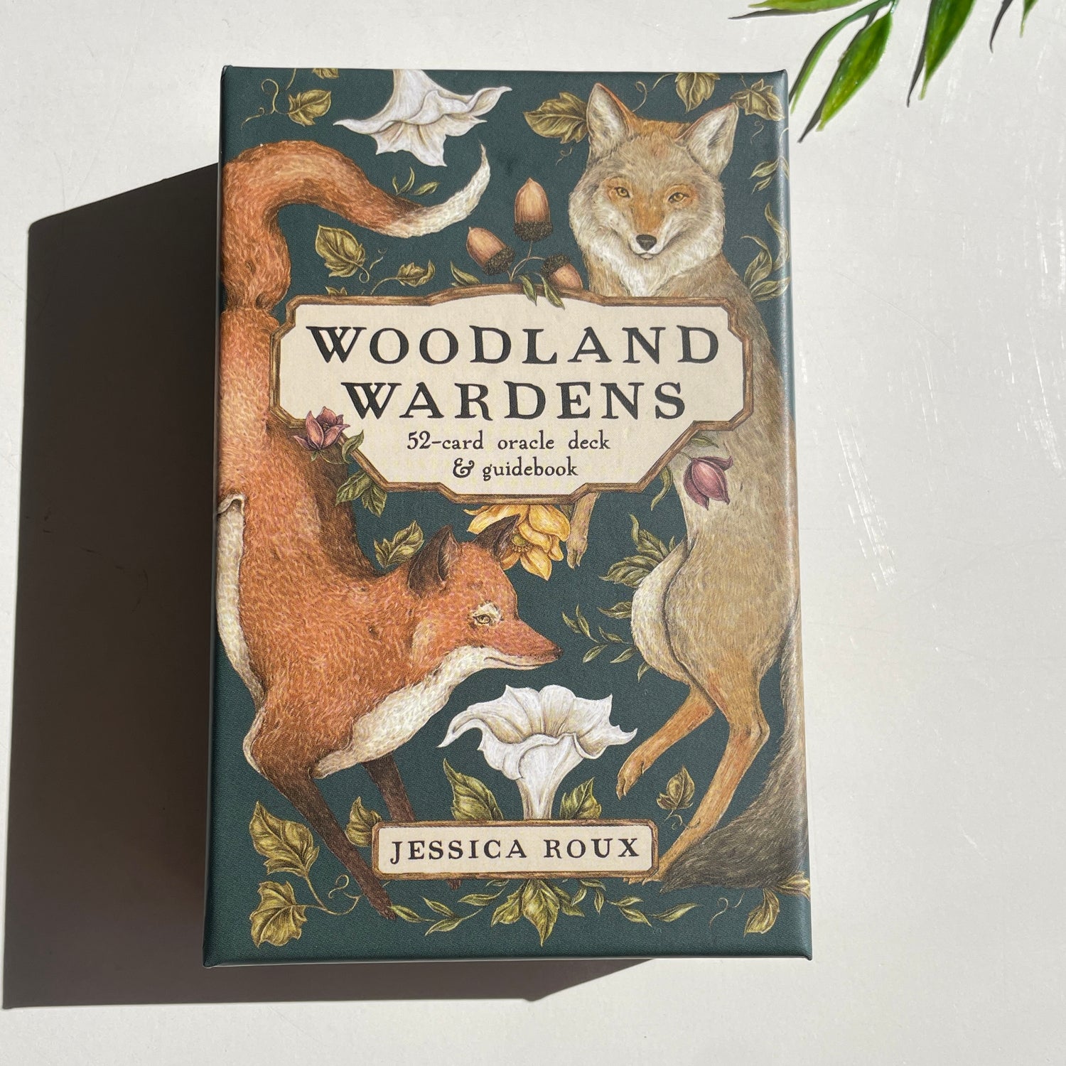 Woodland Wardens Jessica Roux