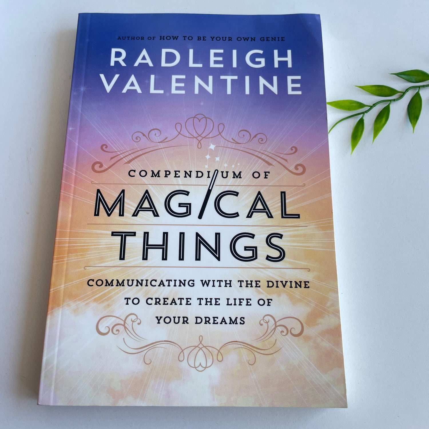 Compendium Of Magical Things Radleigh Valentine