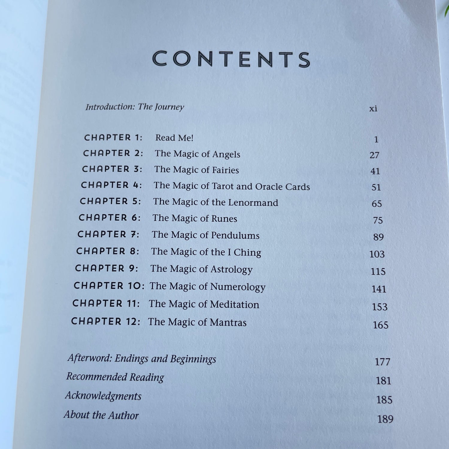 Compendium Of Magical Things Radleigh Valentine