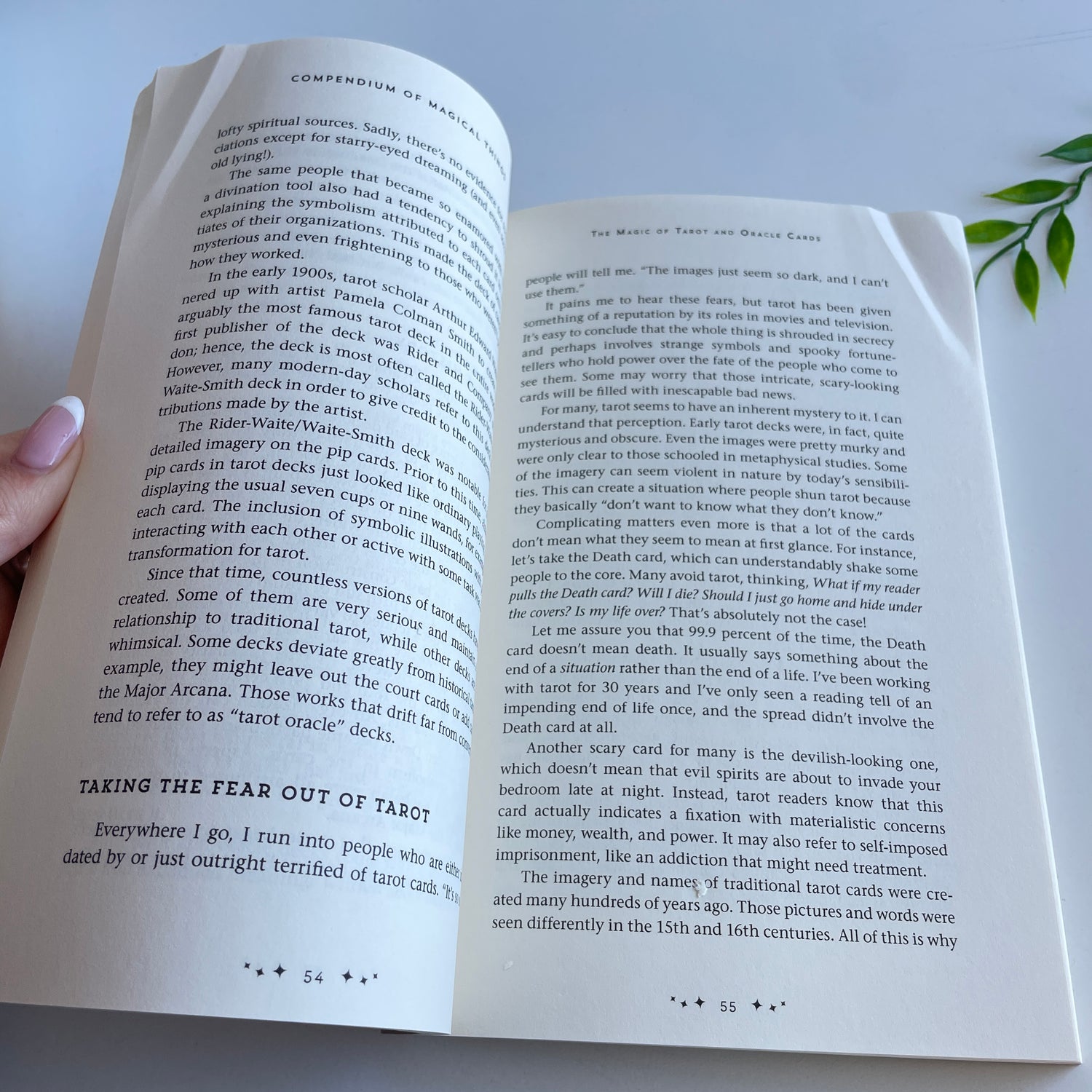 Compendium Of Magical Things Radleigh Valentine