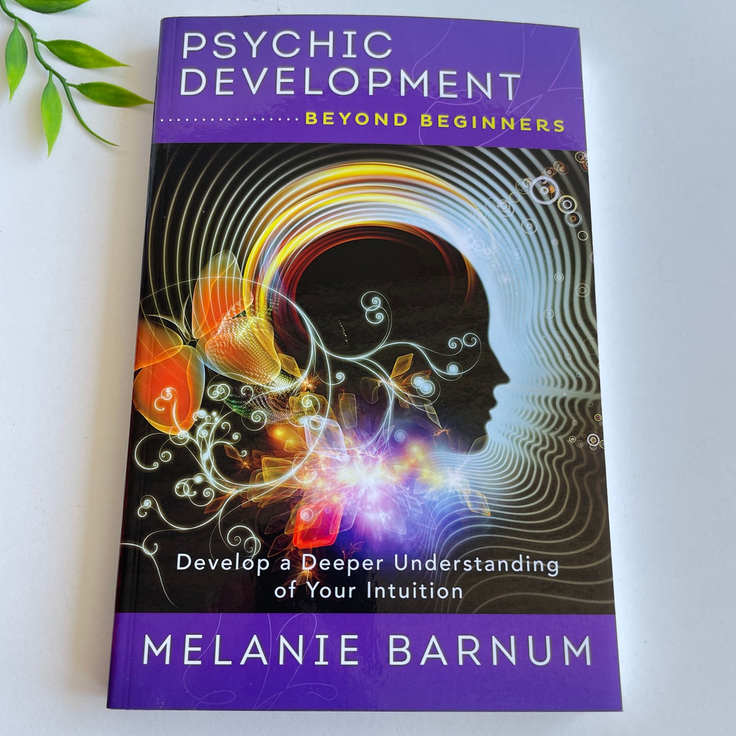 Psychic Development Melanie Barnum
