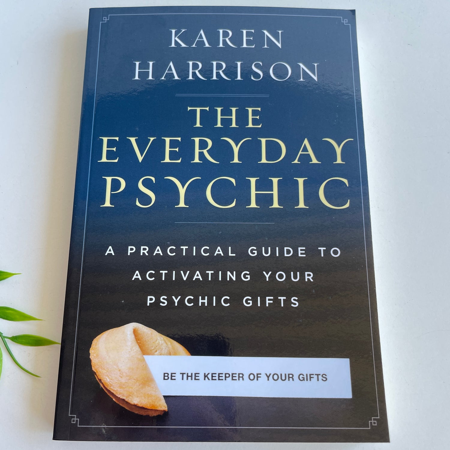 The Everyday Psychic Karen Harrison