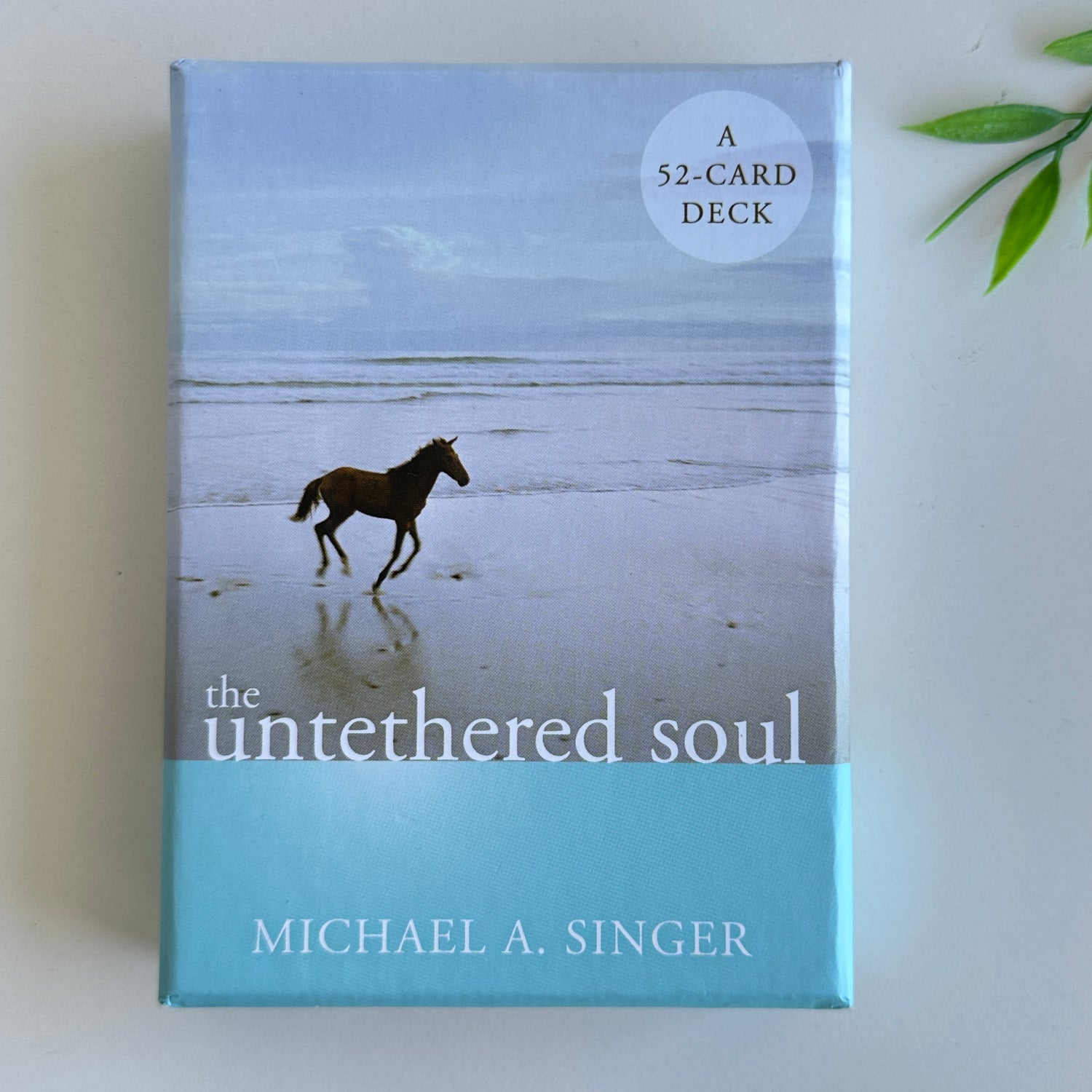The Untethered Soul Cards Michael Singer