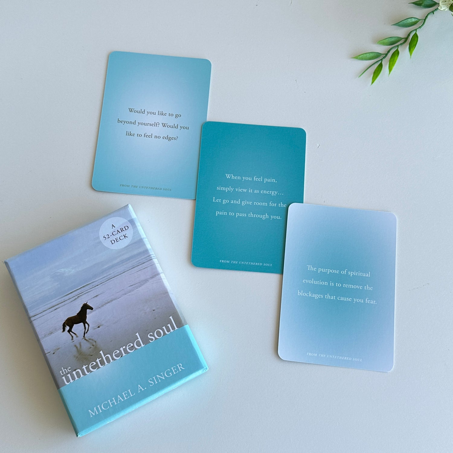 The Untethered Soul Cards Michael Singer
