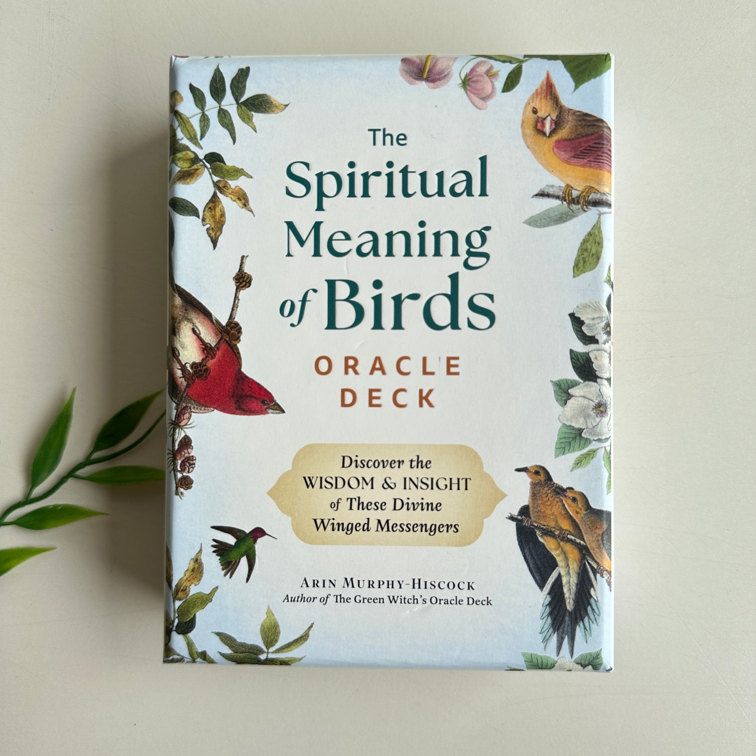 Spiritual Meaning Of Birds Oracle Arin Murphy Hiscock