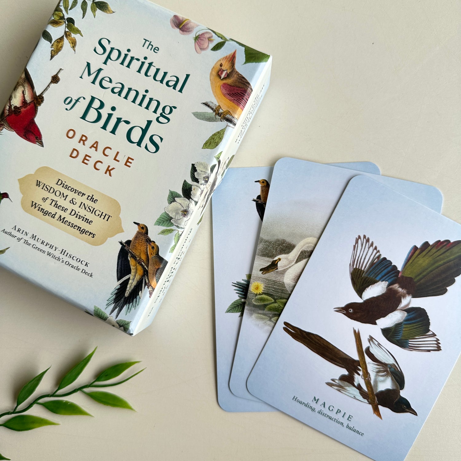 Spiritual Meaning Of Birds Oracle Arin Murphy Hiscock