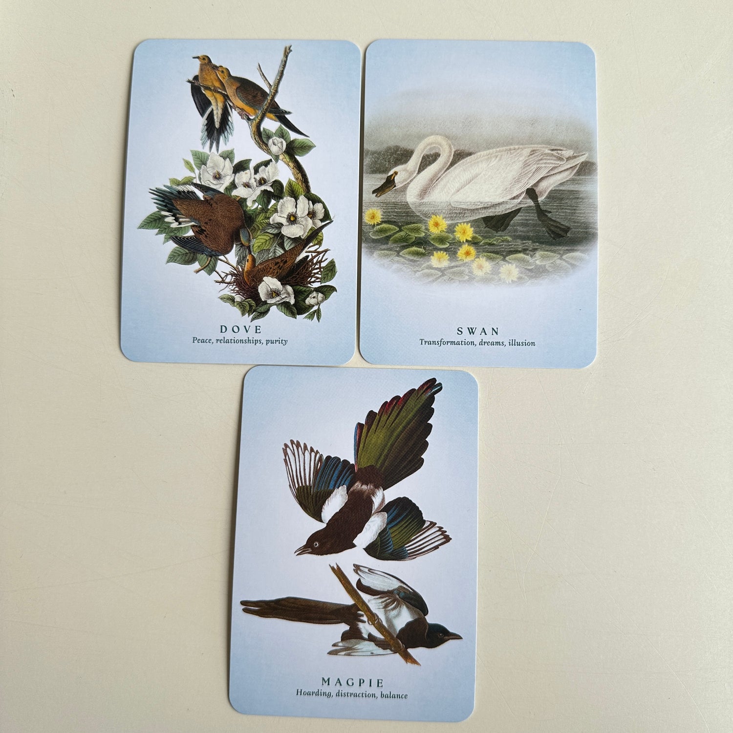 Spiritual Meaning Of Birds Oracle Arin Murphy Hiscock