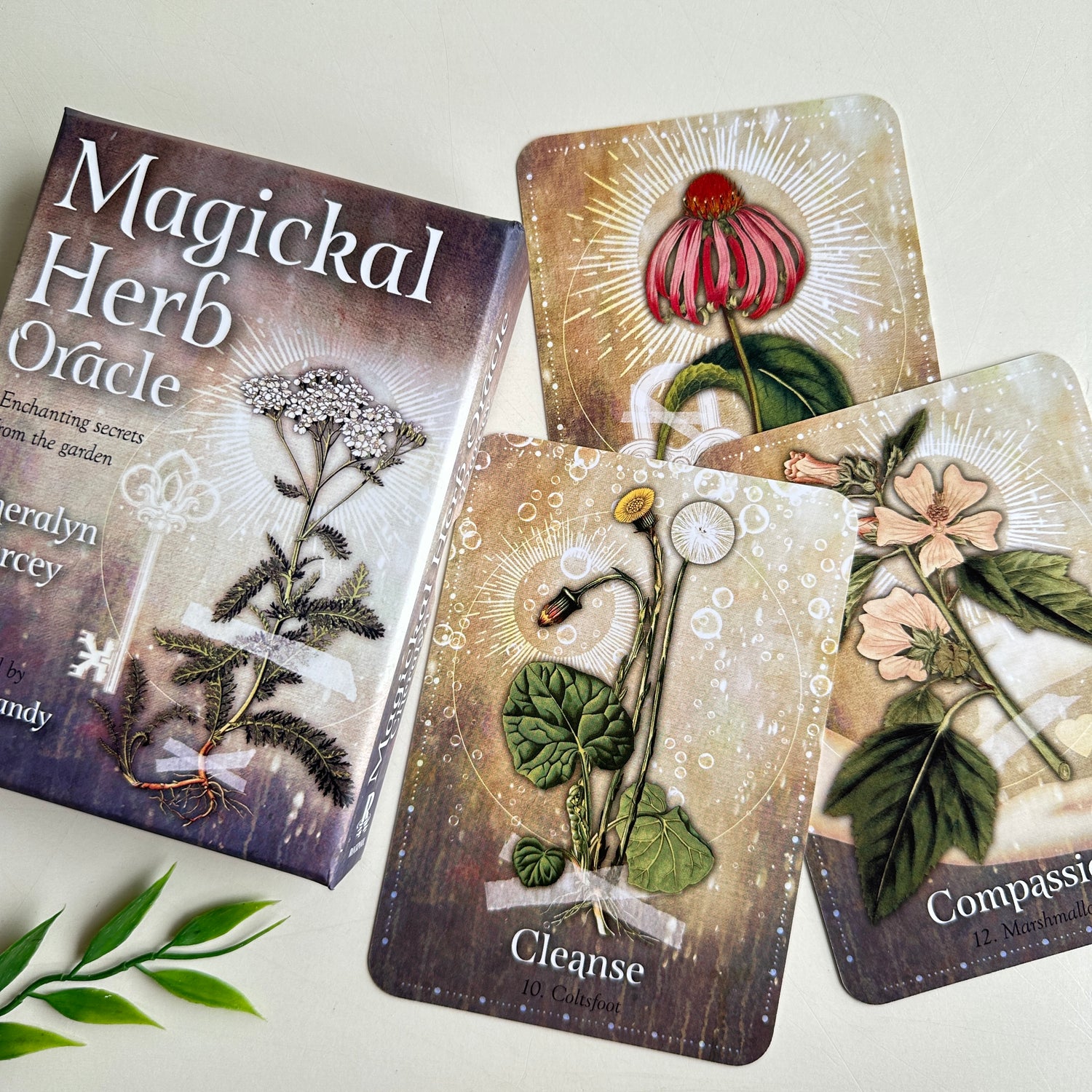 Magickal Herb Oracle Cheralyn Darcey