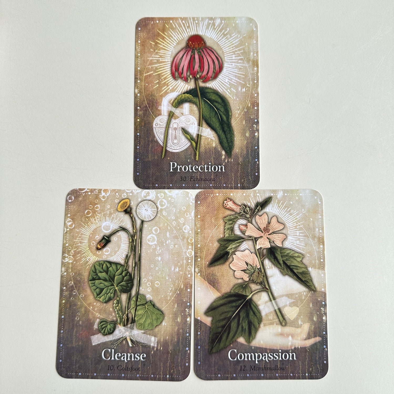 Magickal Herb Oracle Cheralyn Darcey