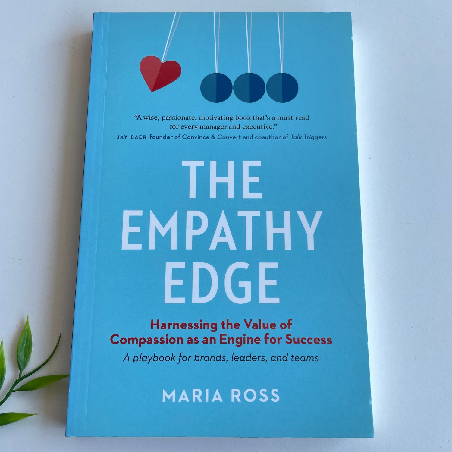 M Ross The Empathy Edge