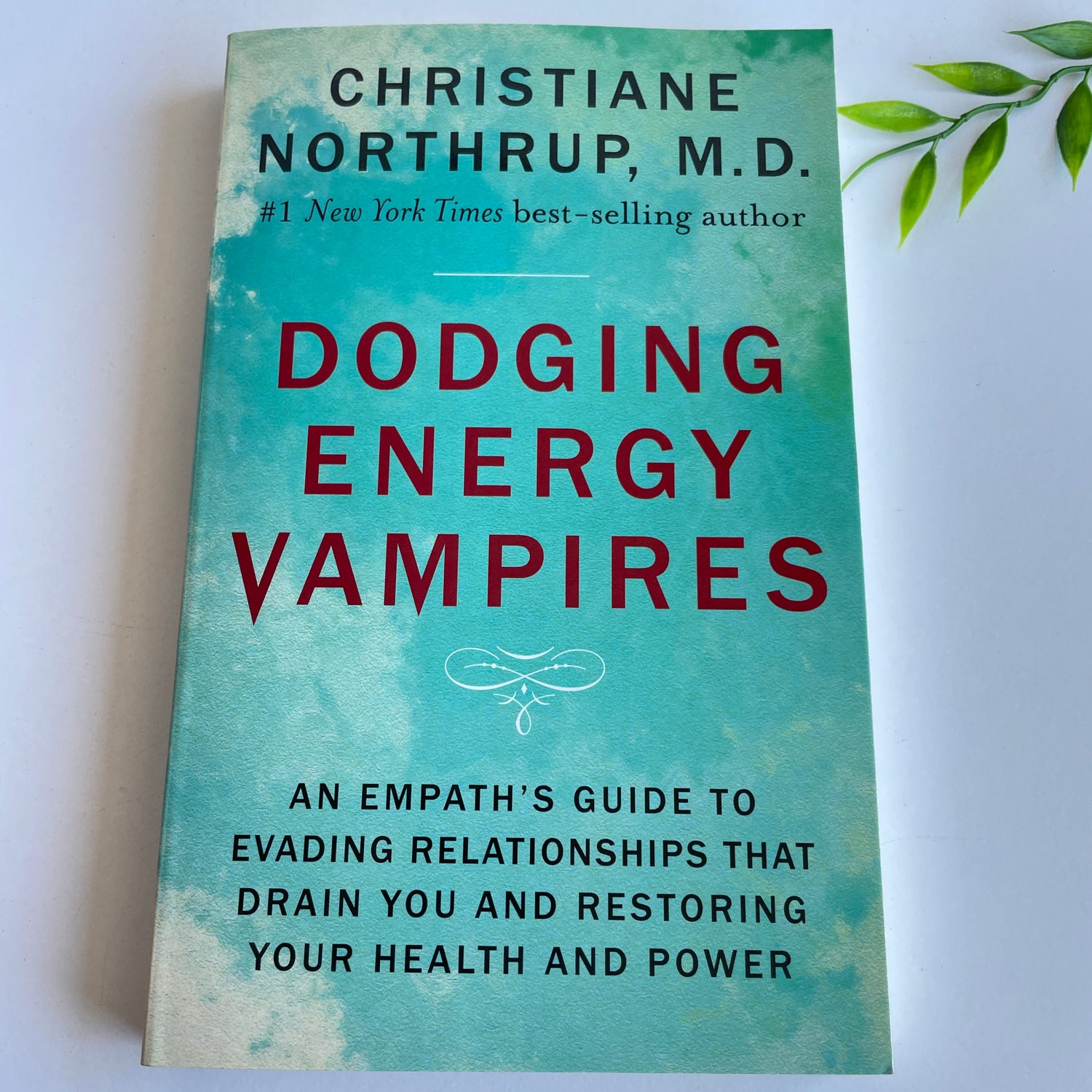 Dodging Energy Vampires Christine Northrup