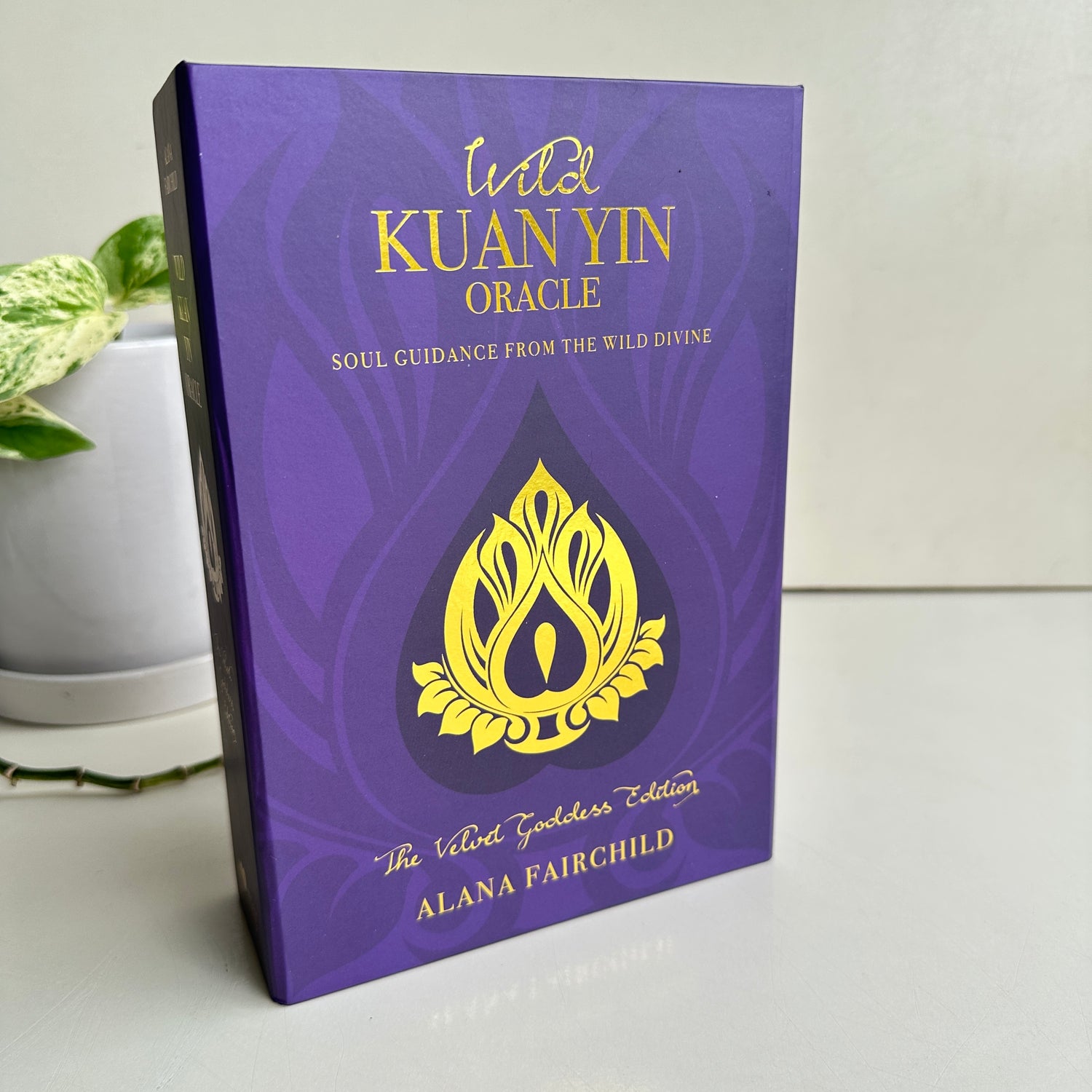 Wild Kuan Yin Oracle Cards Velvet Goddess Edition