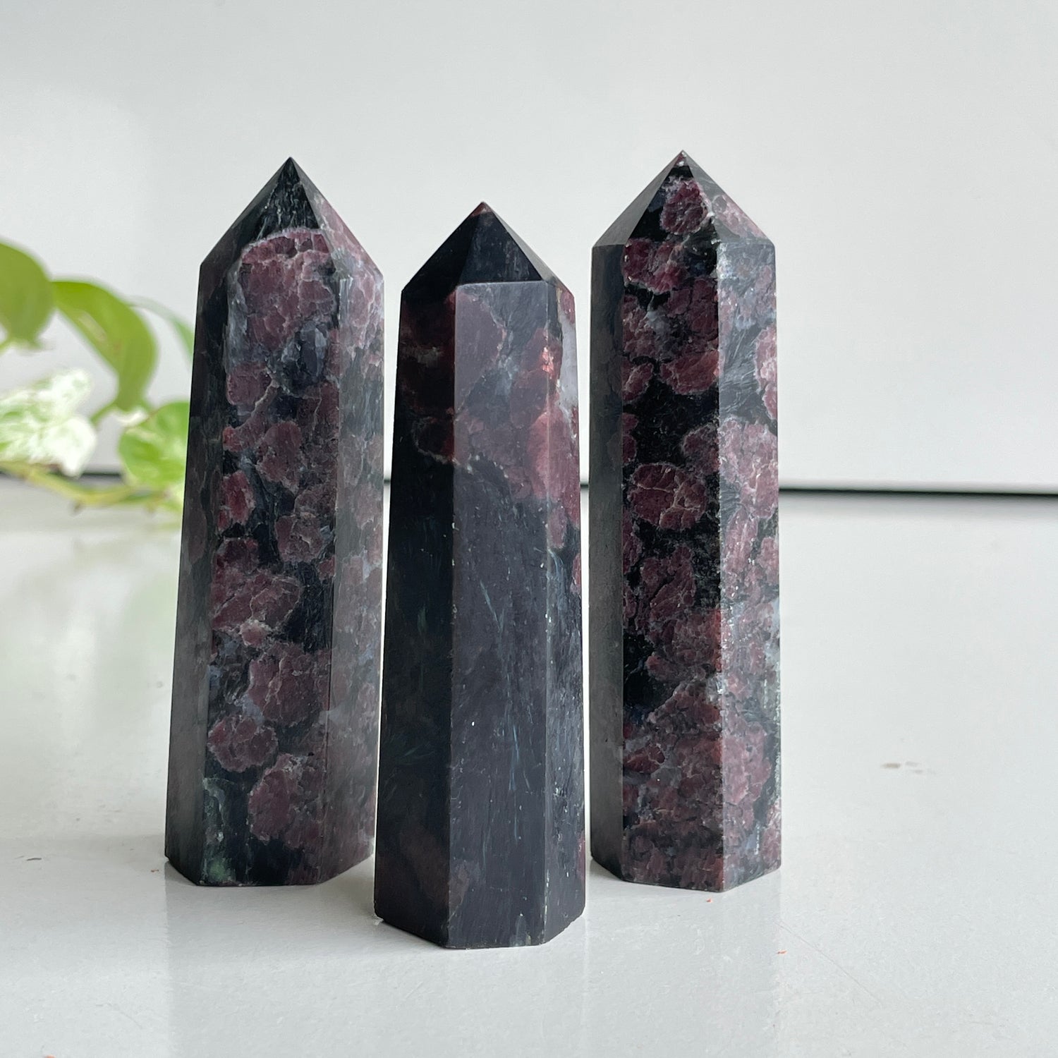 Garnet and Astrophyllite Generator Small Assorted