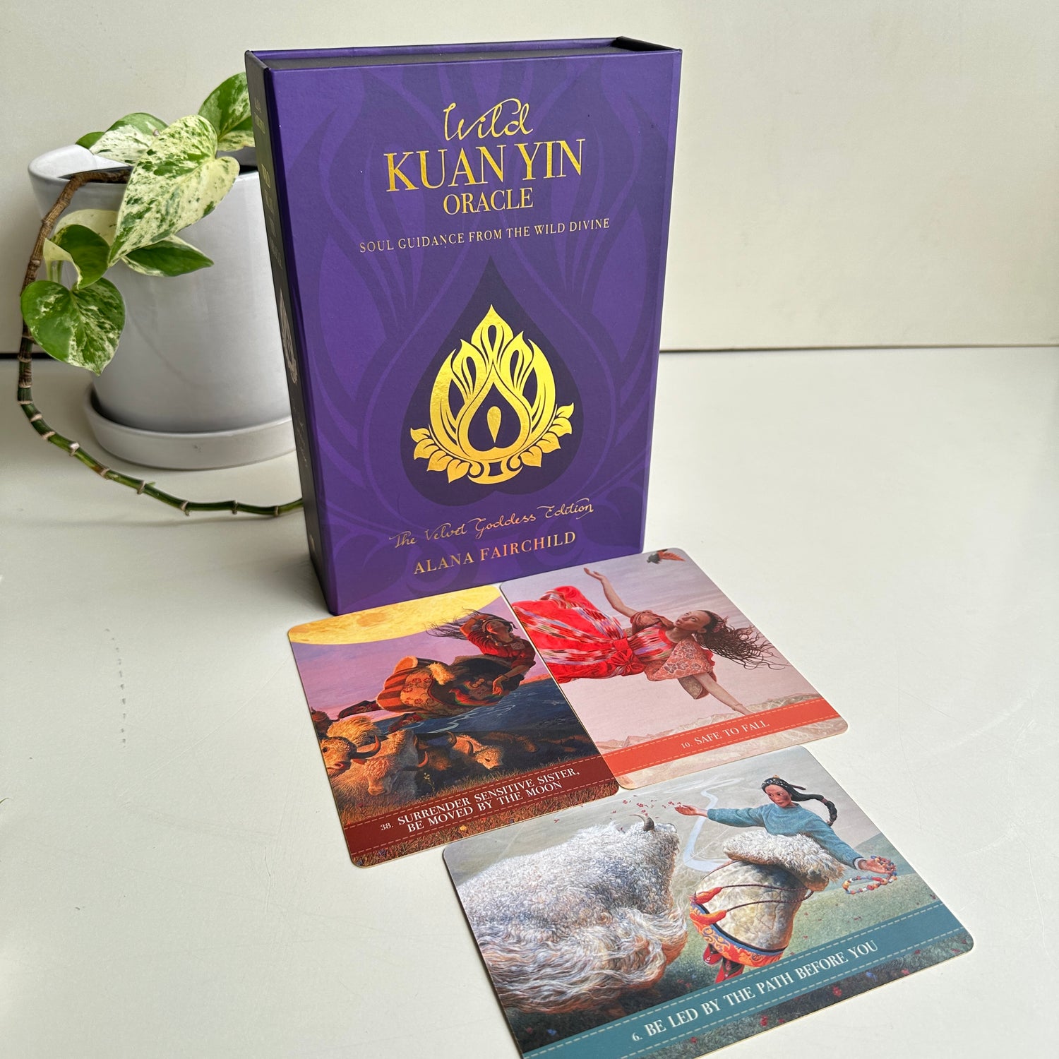 Wild Kuan Yin Oracle Cards Velvet Goddess Edition