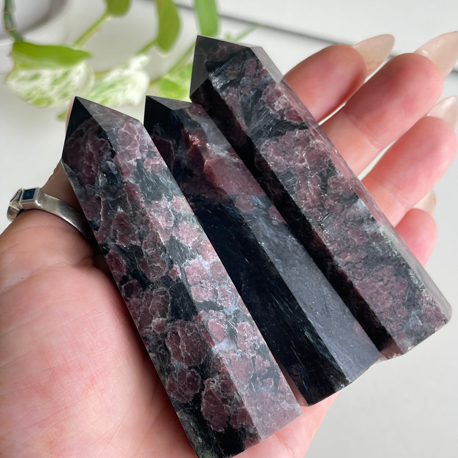 Garnet and Astrophyllite Generator Small Assorted