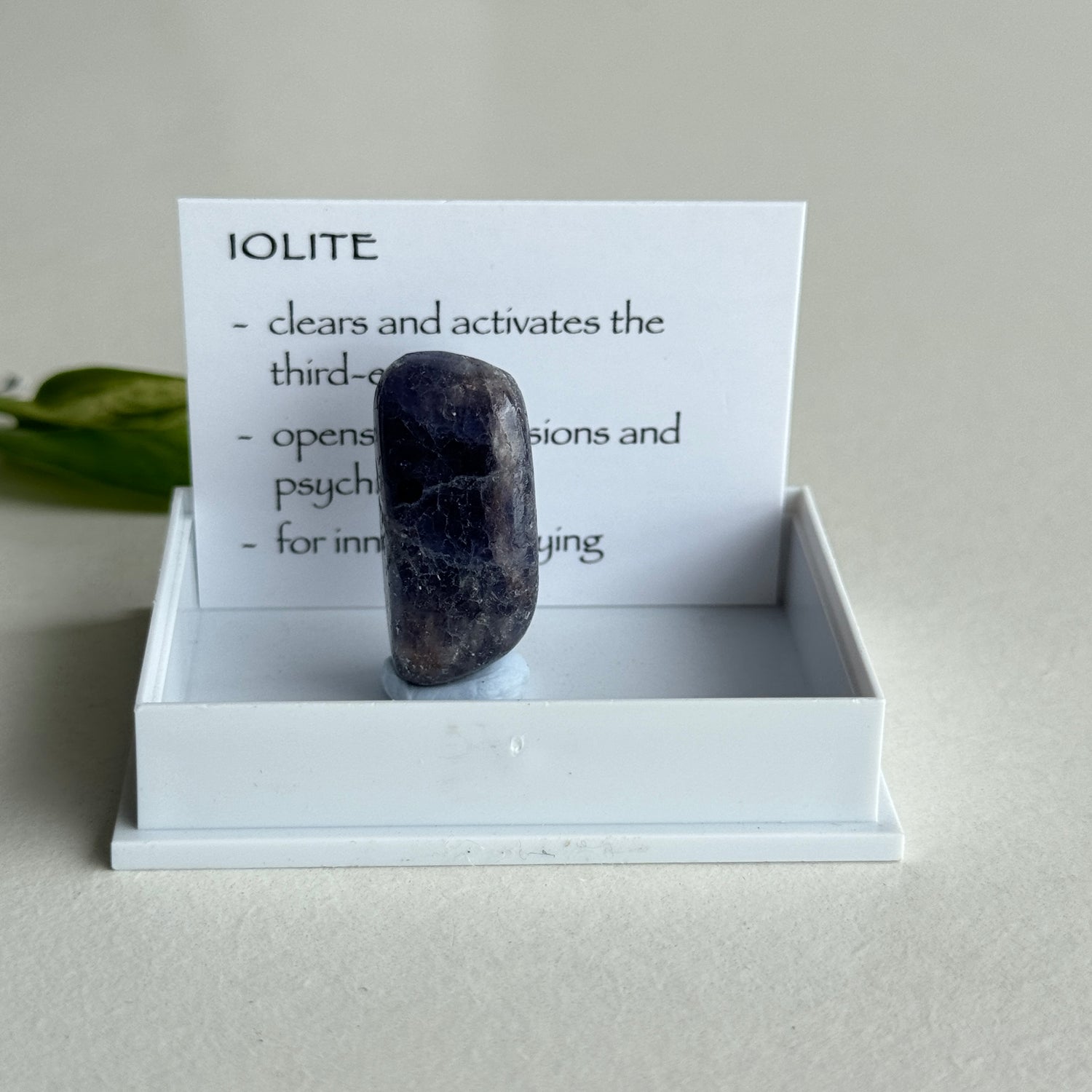 Iolite Pce 2