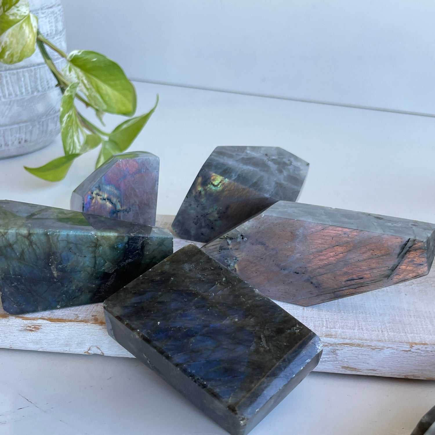 DISCOUNTED Labradorite Freeforms Lge