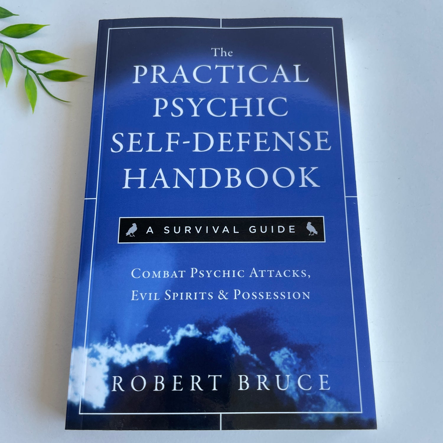 The Practical Psychic Self Defense Handbook Robert Bruce