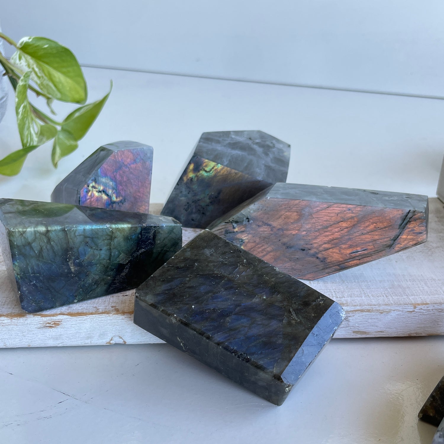 DISCOUNTED Labradorite Freeforms Lge