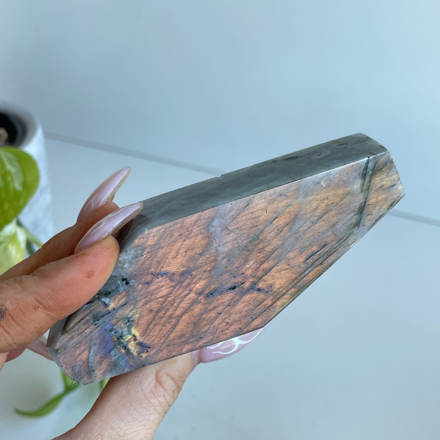 DISCOUNTED Labradorite Freeforms Lge