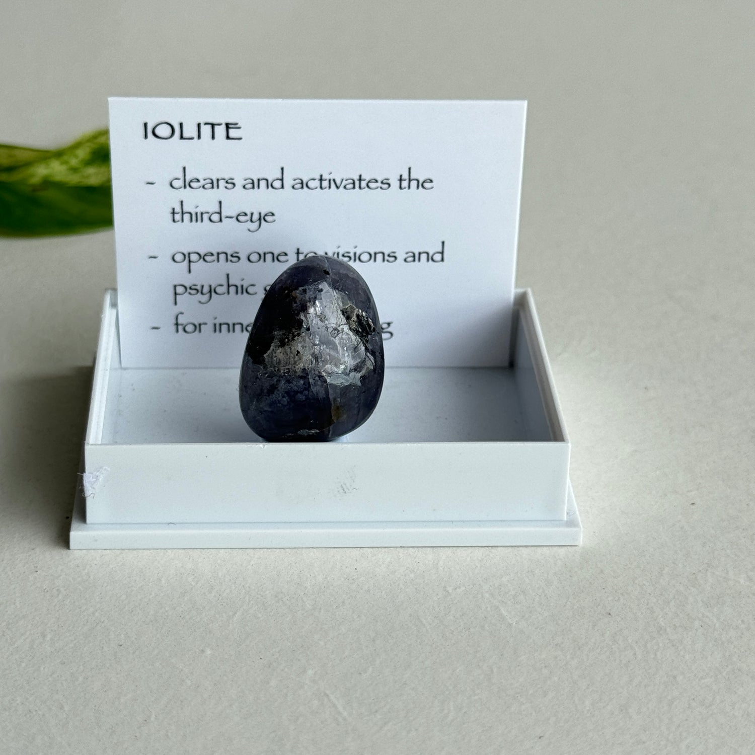 Iolite Pce 1