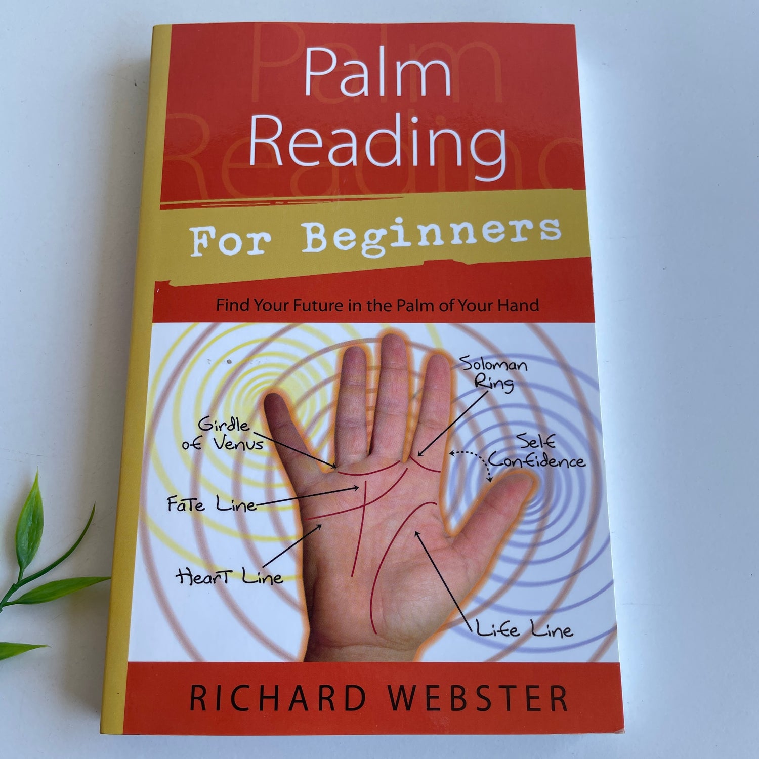 Palm Reading For Beginners Richard Webster
