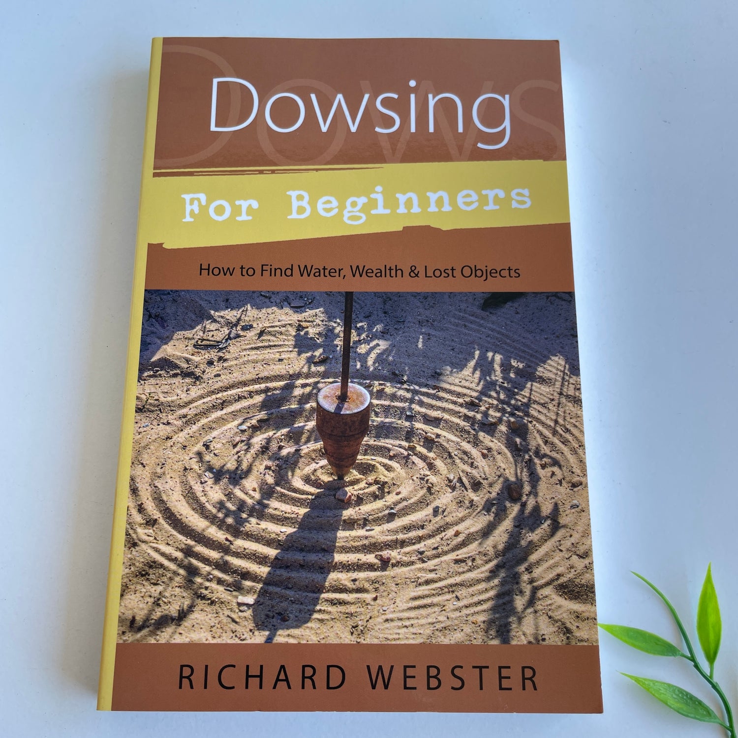 Dowsing for Beginners Richard Webster