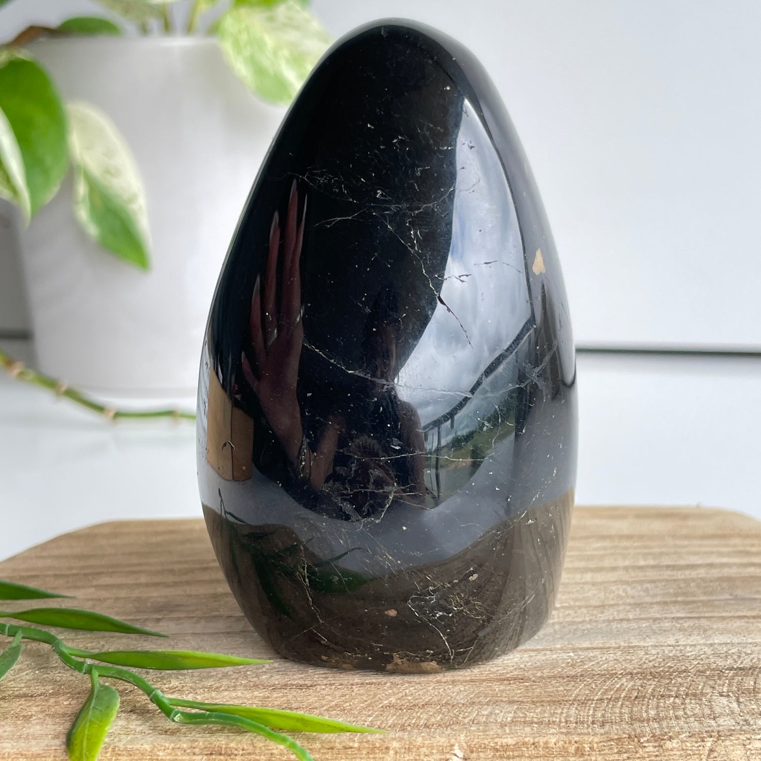 Black Tourmaline Freeform 9.4cm