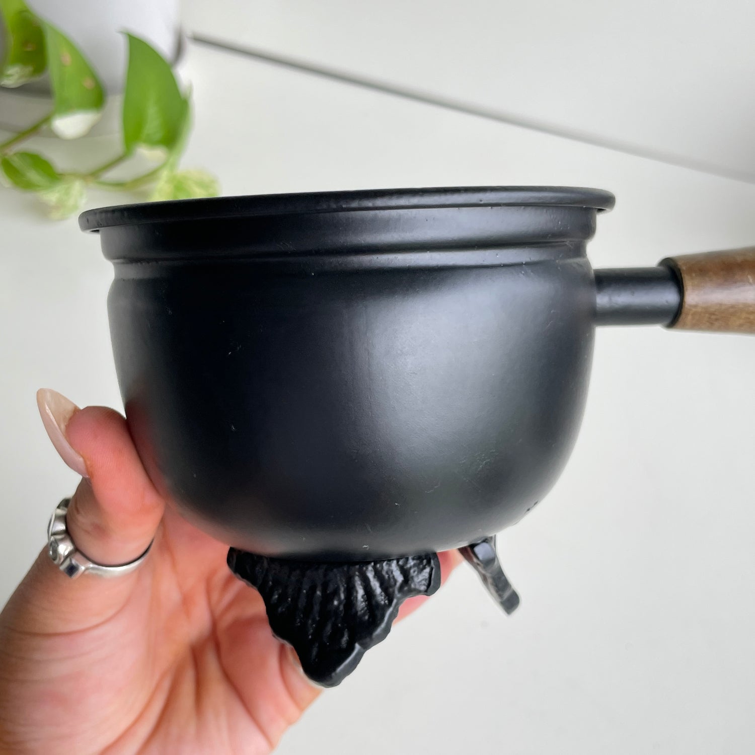 Black Cauldron With Handle And Mesh Lid CB1230