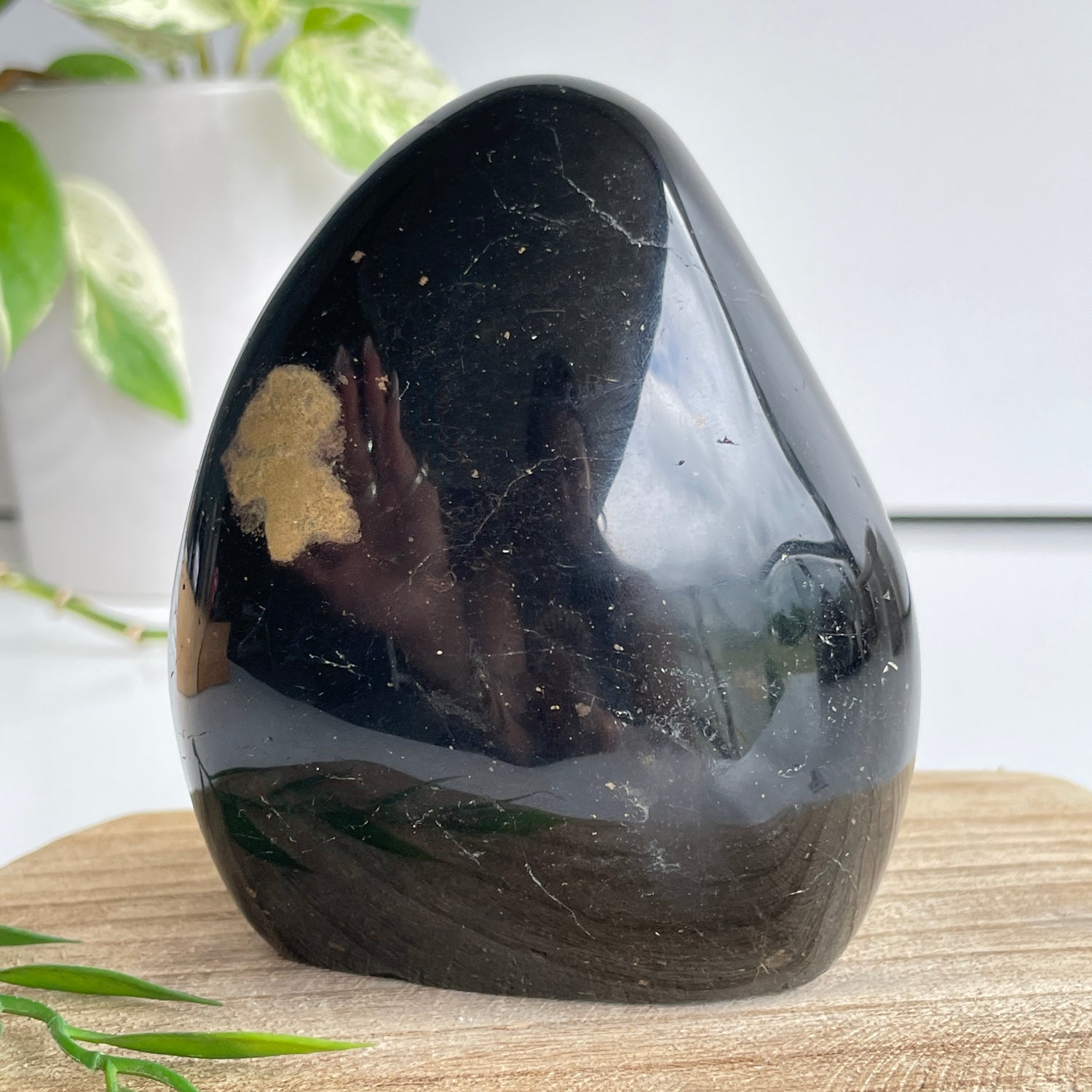 Black Tourmaline Freeform 9.4cm