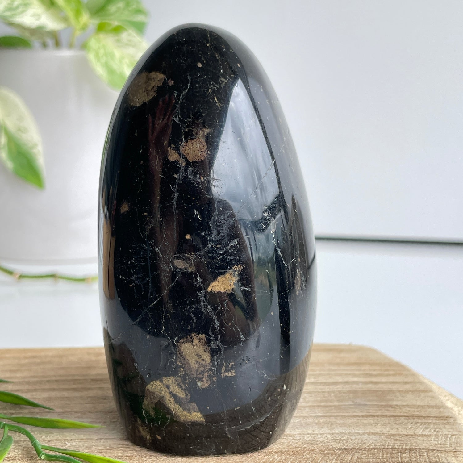 Black Tourmaline Freeform 10.4cm