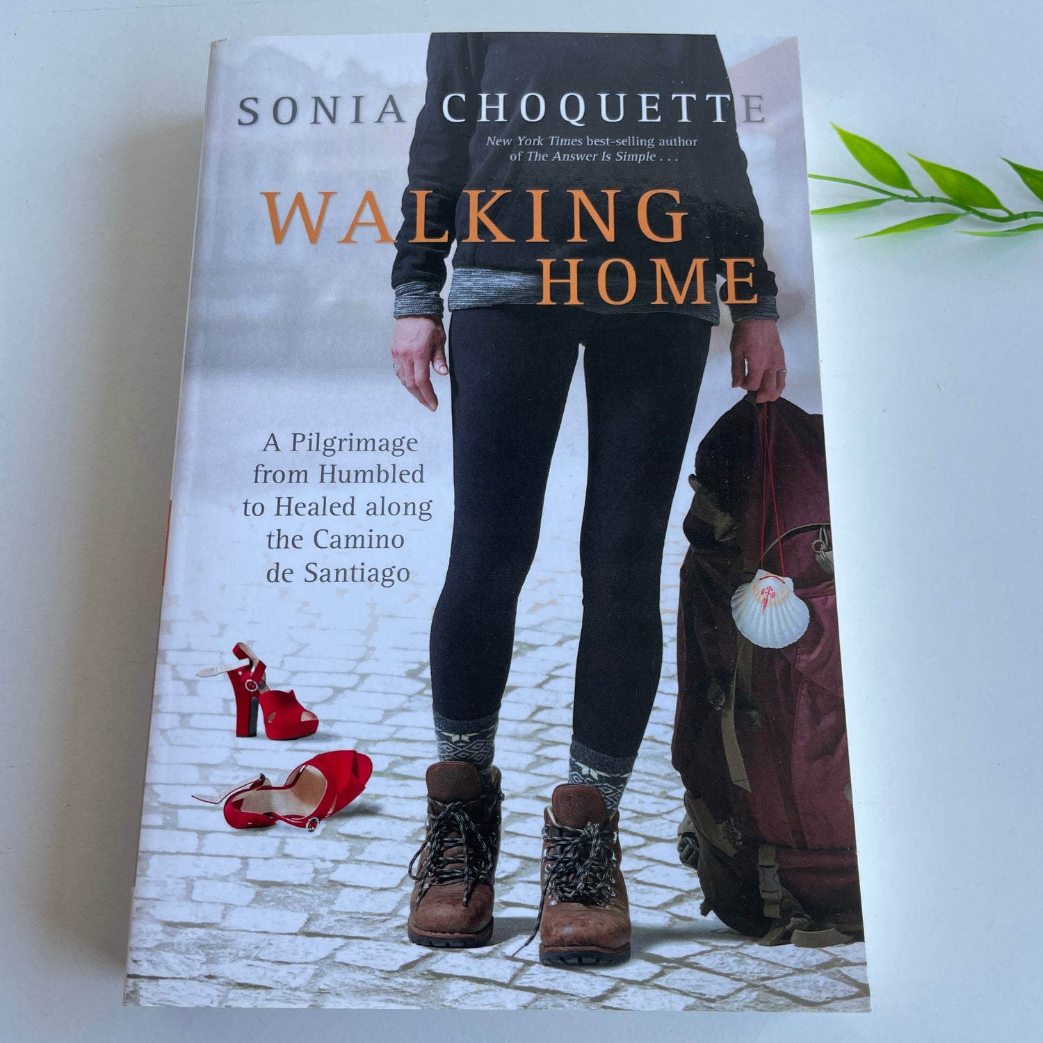 Sonia Choquette walking Home