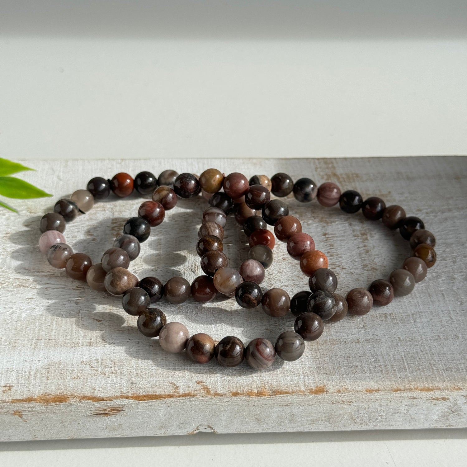 Petrified Wood Beaded Bracelet