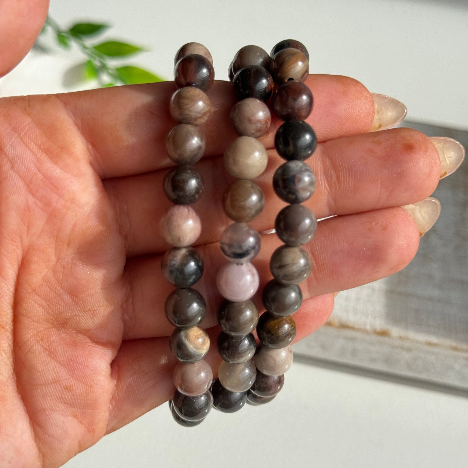 Petrified Wood Beaded Bracelet