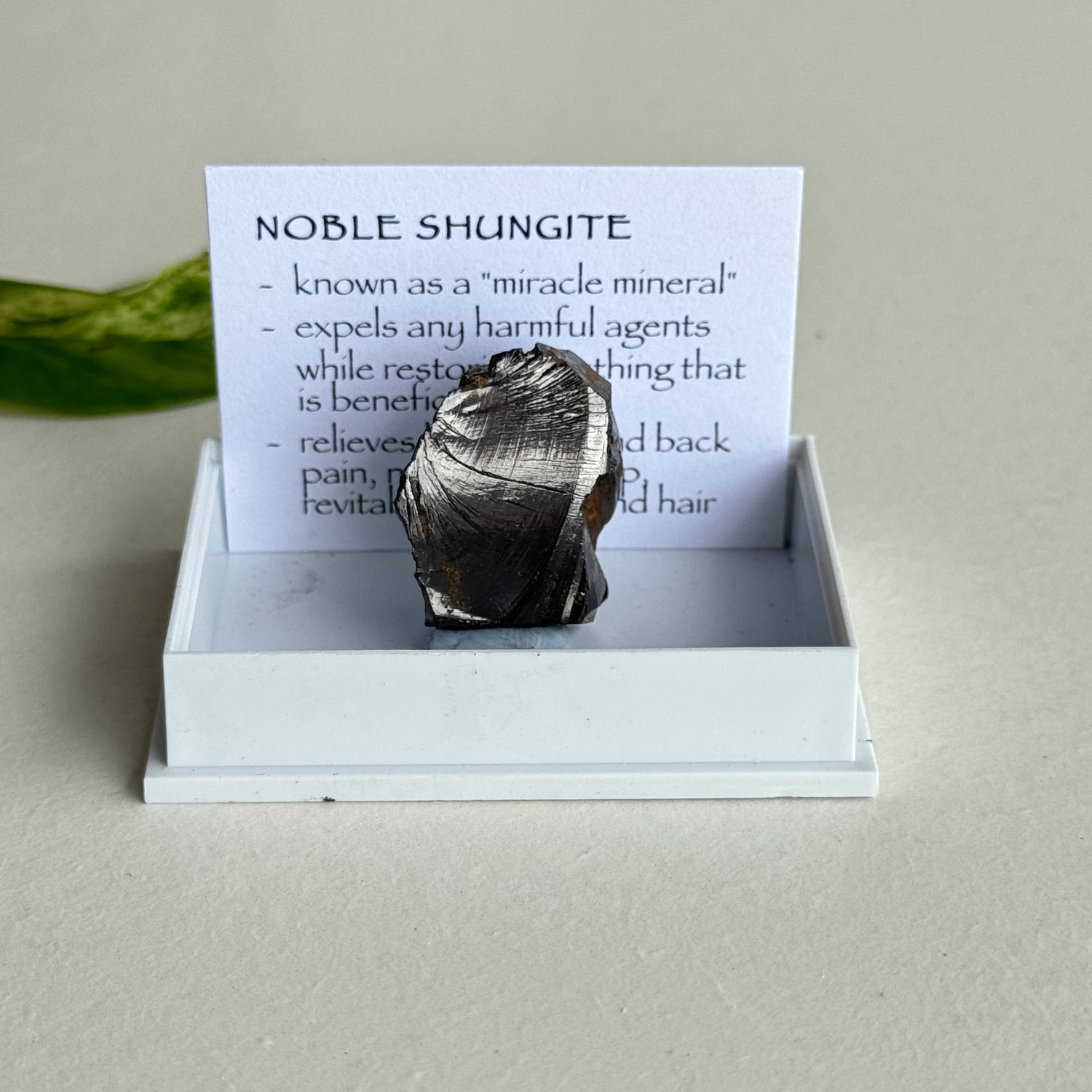 Noble Shungite Pce 5