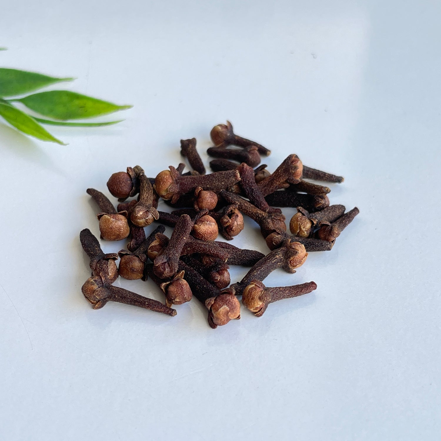 Clove Bud (Whole) 10g