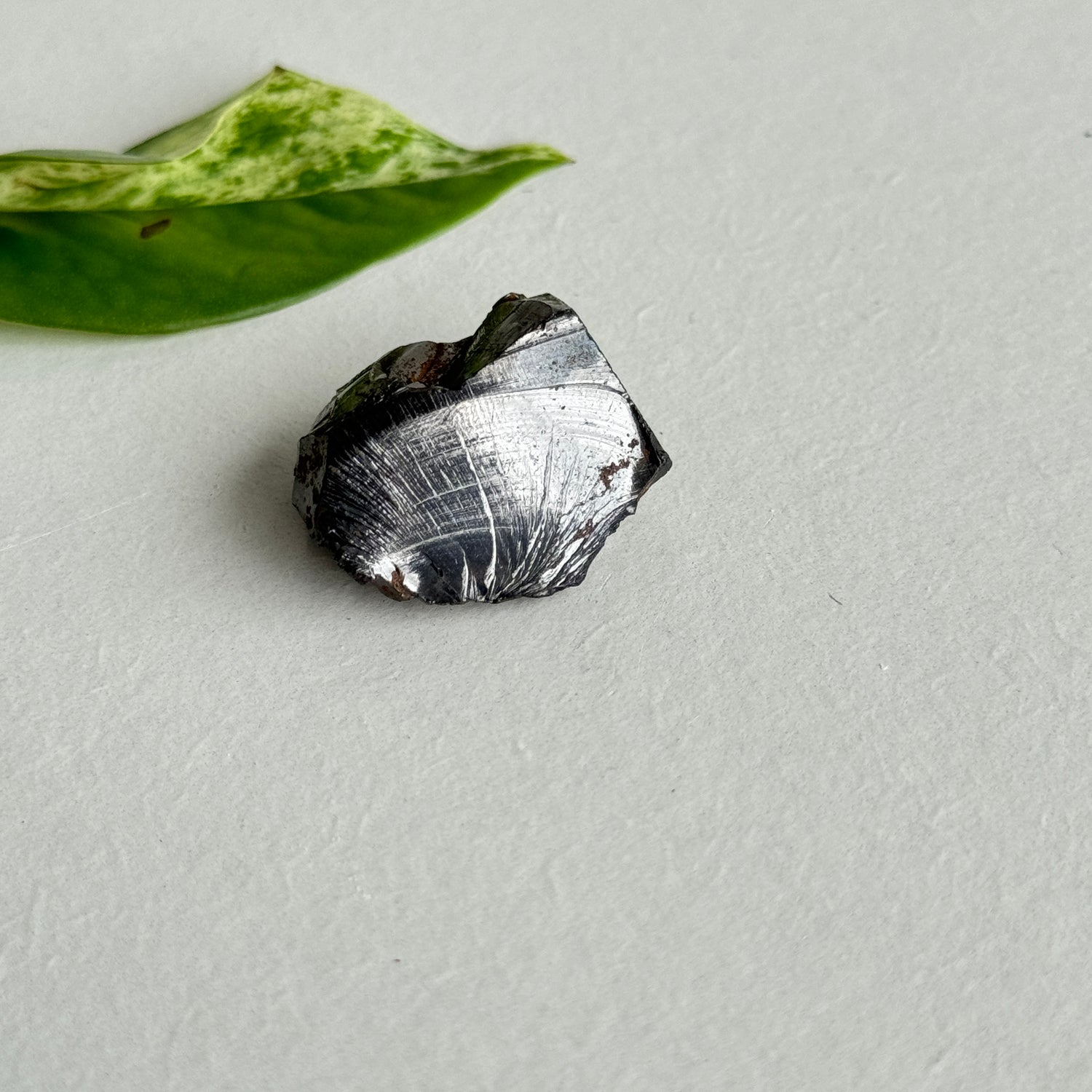 Noble Shungite Pce 5