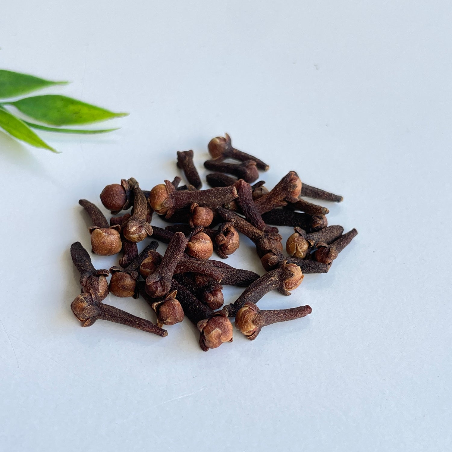 Clove Bud (Whole) 10g